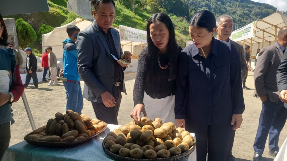 Ayieno Hibo inspects the 1st edition of Zapami village Kiwi Fruit Fair 2026 on October 16. (Morung Photo)